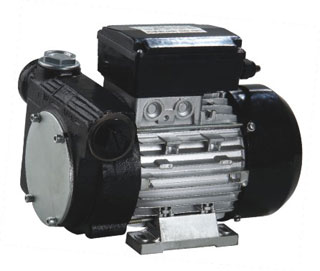 Electric Transfer Pump(DYB80-AC220)
