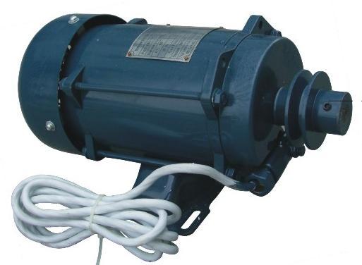 Explosion Proof Motor(TPEM-62)