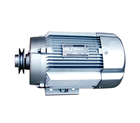 Explosion Proof Motor(TPEM-63)