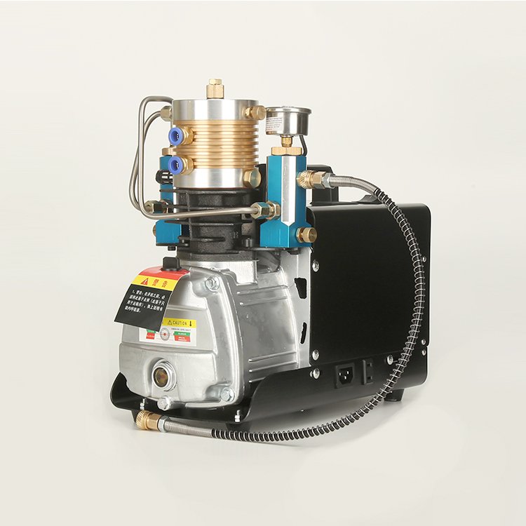PCP Air Compressor(TP1900D4)